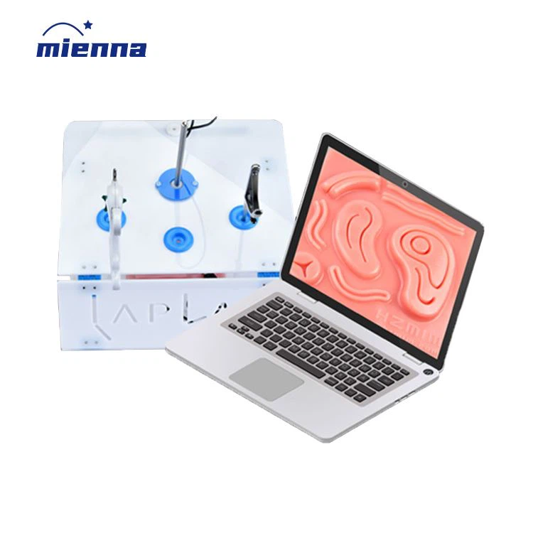 Hộp đào tạo nội soi ổ bụng y tế 2024 Mô phỏng nội soi ổ bụng