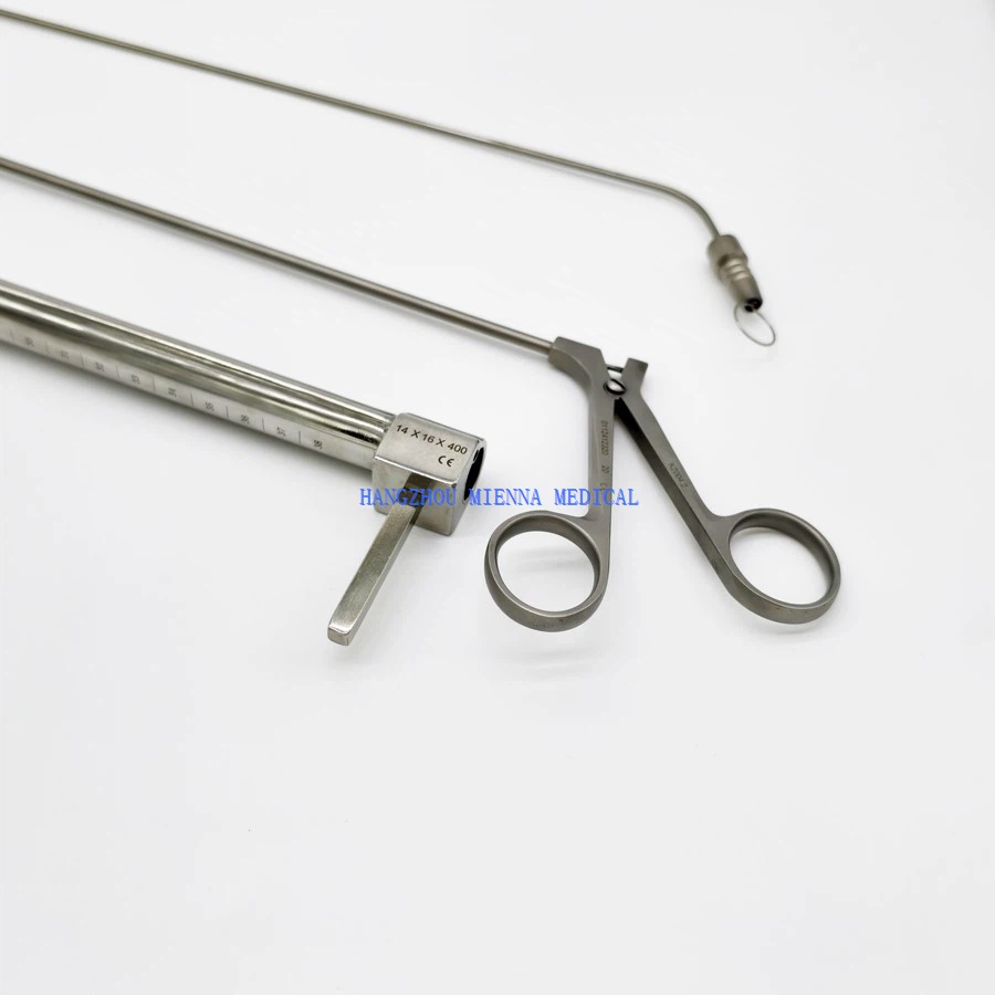 IMG20250314103146 IMG20250314103146