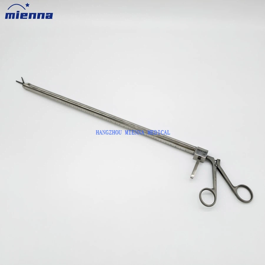 IMG20250314102319 IMG20250314102319